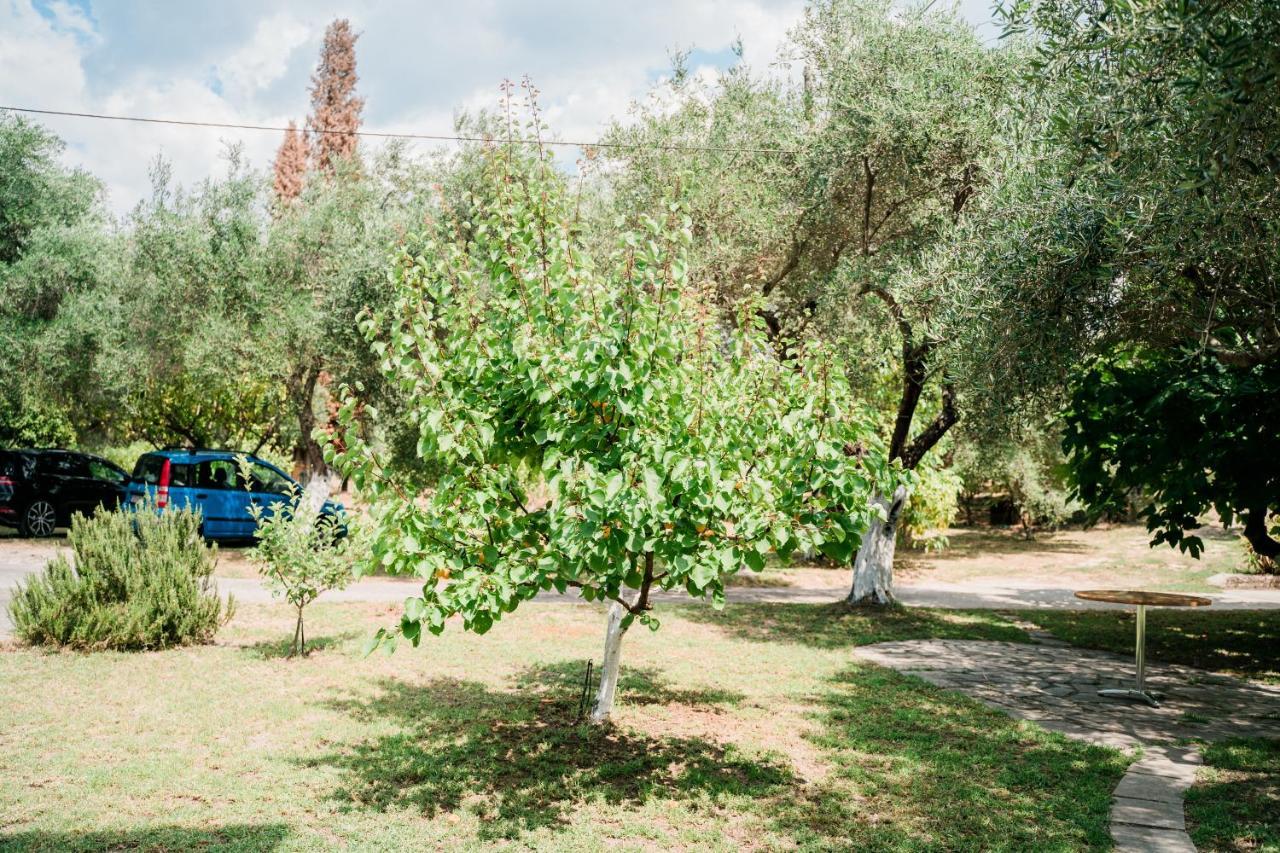 Villa Kallithea Párga Exterior foto